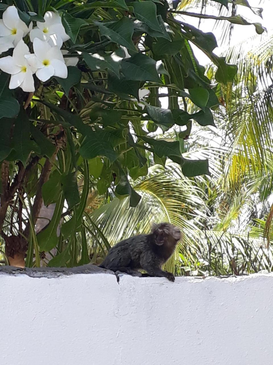 Pousada Caribe Nordestino Tamandaré Exterior foto