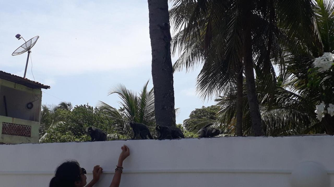Pousada Caribe Nordestino Tamandaré Exterior foto